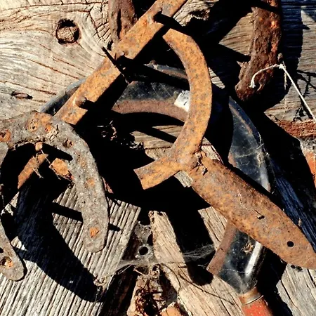 Kerzenzimmer - Maerchen Aus Wachs Und Flamme Garvensdorf