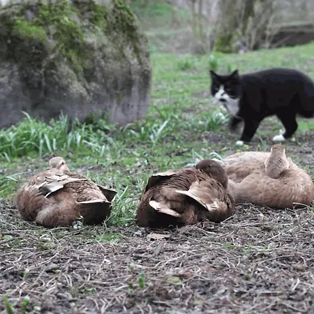 Kerzenzimmer - Maerchen Aus Wachs Und Flamme דירה *