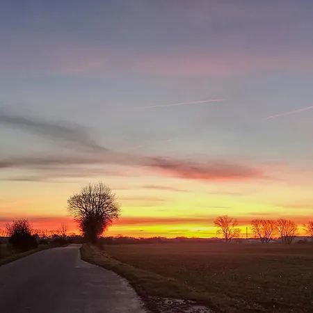 Kerzenzimmer - Maerchen Aus Wachs Und Flamme