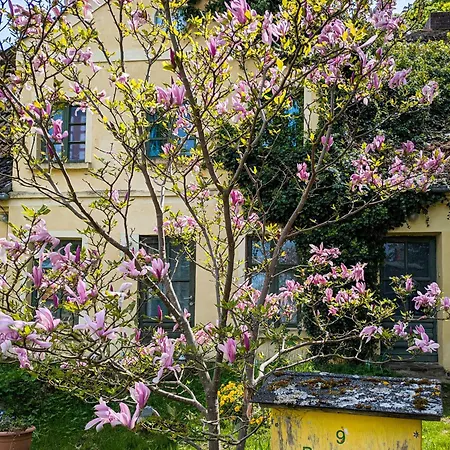 Appartamento Kerzenzimmer - Maerchen Aus Wachs Und Flamme Garvensdorf